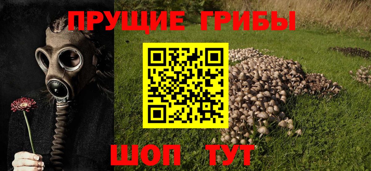 Псилоцибиновые грибы мухоморы Апатиты